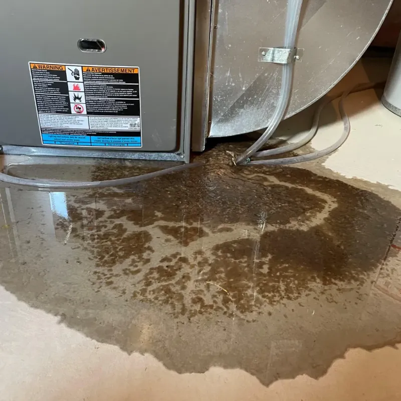 Appliance Leak Cleanup in Bath, PA